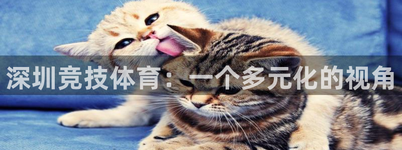 mk足球：深圳竞技体育：一个多元化的视角