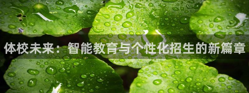mk(mksport)体育国际官网：体校未来：智能教育与个性化招生的新篇章