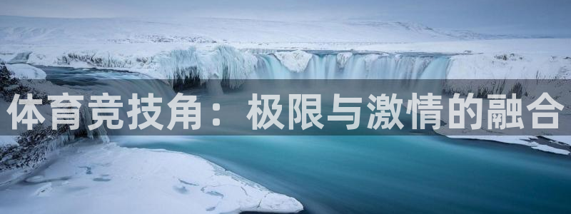 mk篮球：体育竞技角：极限与激情的融合